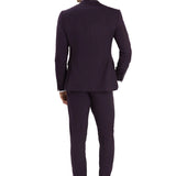 Plum Purple 2 Button Suit