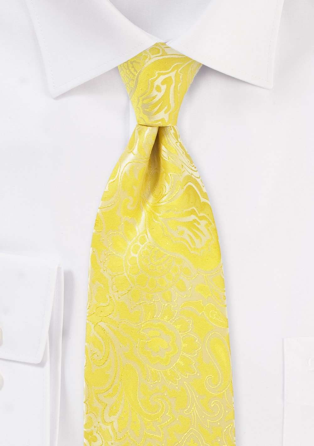 Frosted Citrus Floral Paisley Necktie - Men Suits