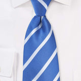 Riveria Blue and White Narrow Striped Necktie - Men Suits
