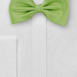 Green Apple Solid Bowtie - Men Suits
