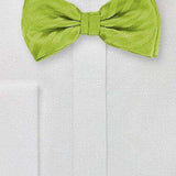Green Apple Narrow Striped Bowtie - Men Suits