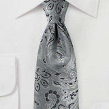 Mercury Silver Proper Paisley Necktie - Men Suits